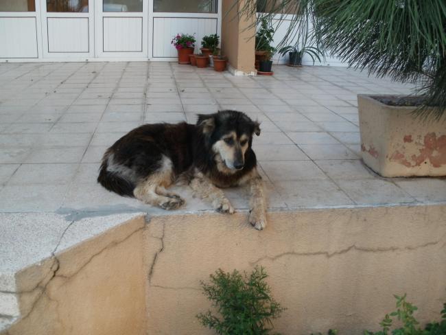 Name:  P1010217a.jpg
Views: 394
Size:  44.7 KB