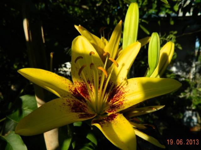 Name:  Resim 011.jpg
Views: 1265
Size:  40.9 KB