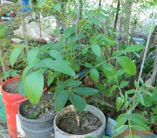 Name:  Resim 041.jpg
Views: 1915
Size:  61.1 KB