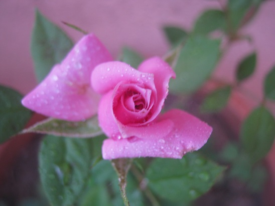 Name:  minyatr gl.jpg
Views: 1299
Size:  57.1 KB