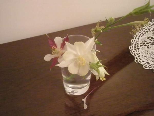 Name:  yeni resimler 005.jpg
Views: 1421
Size:  25.4 KB