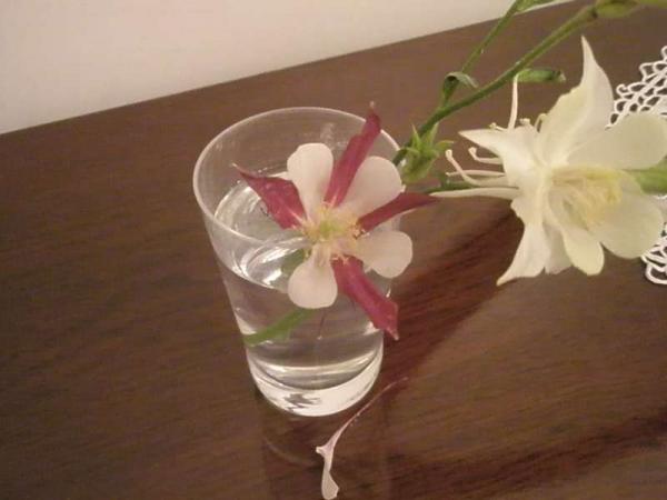 Name:  yeni resimler 006.jpg
Views: 1416
Size:  25.7 KB