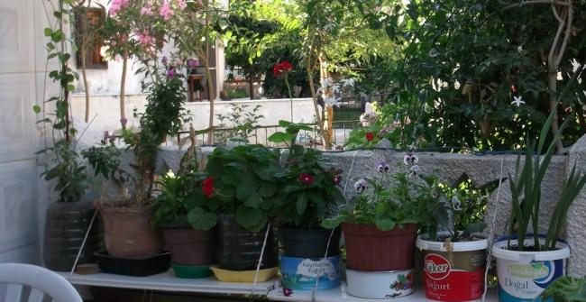 Name:  DSCF3361.jpg
Views: 665
Size:  50.2 KB