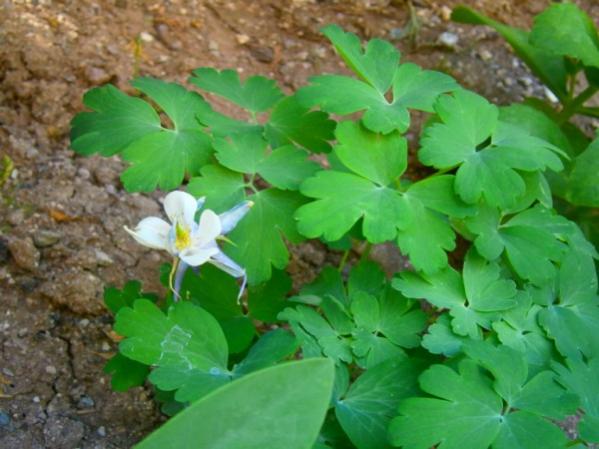 Name:  haseki.jpg
Views: 751
Size:  41.5 KB