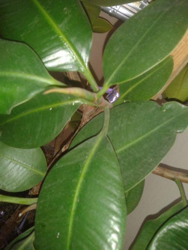 Name:  reso1.jpg
Views: 729
Size:  56.1 KB