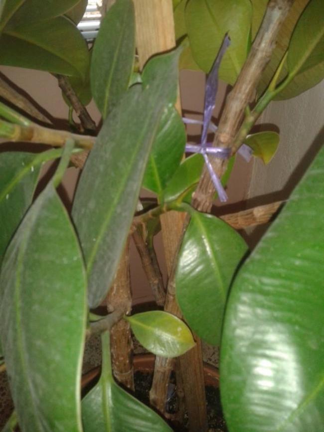 Name:  reso2.jpg
Views: 730
Size:  55.3 KB