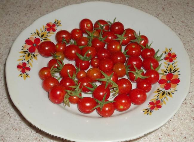 Name:  DSCF3367.jpg
Views: 590
Size:  45.9 KB