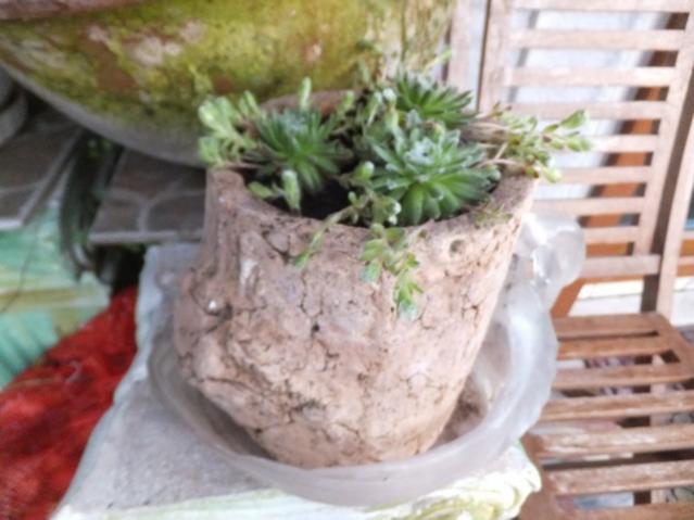 Name:  DSCF5646.jpg
Views: 249
Size:  39.6 KB