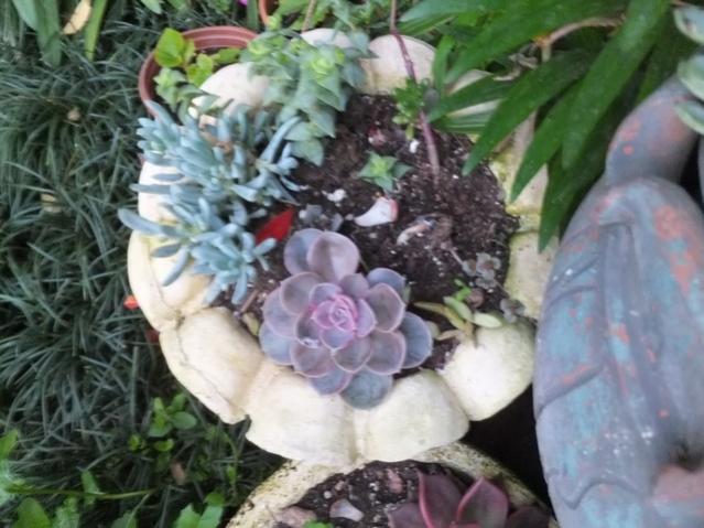 Name:  DSCF5698.jpg
Views: 241
Size:  50.5 KB