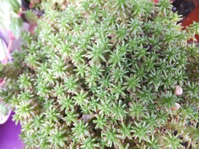 Name:  DSCF5841.jpg
Views: 253
Size:  63.6 KB