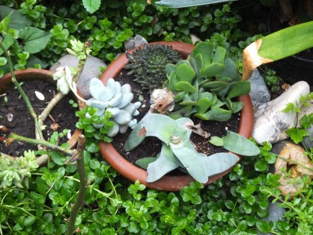 Name:  DSCF5850.jpg
Views: 222
Size:  67.9 KB