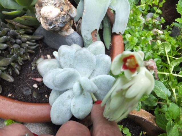 Name:  DSCF5855.jpg
Views: 244
Size:  50.6 KB