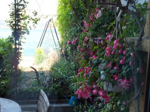 Name:  DSCF5965.jpg
Views: 359
Size:  60.3 KB
