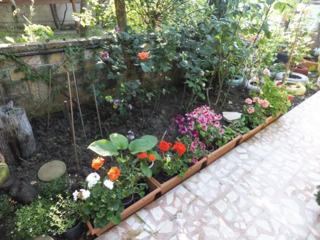 Name:  DSCF6097.jpg
Views: 319
Size:  67.4 KB