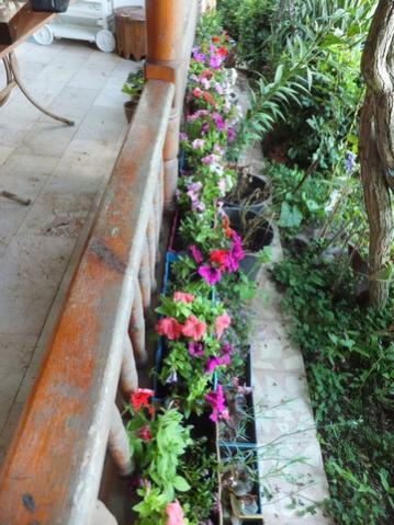 Name:  DSCF6112.jpg
Views: 281
Size:  40.8 KB