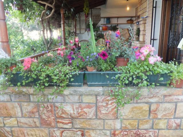 Name:  DSCF6116.jpg
Views: 313
Size:  65.5 KB
