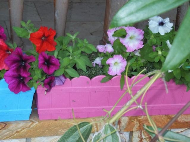 Name:  DSCF6121.jpg
Views: 290
Size:  42.4 KB