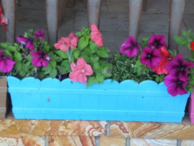 Name:  DSCF6122.jpg
Views: 297
Size:  42.4 KB