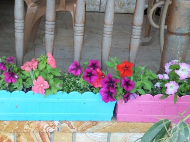 Name:  DSCF6125.jpg
Views: 302
Size:  45.1 KB