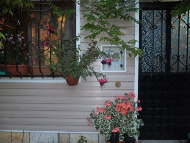 Name:  DSCF6231.jpg
Views: 494
Size:  47.5 KB
