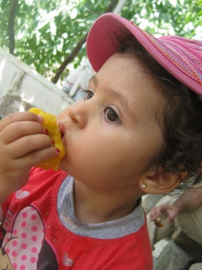 Name:  eftali keyfi.jpg
Views: 1244
Size:  32.3 KB