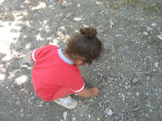 Name:  toprak oynama.jpg
Views: 1016
Size:  49.1 KB