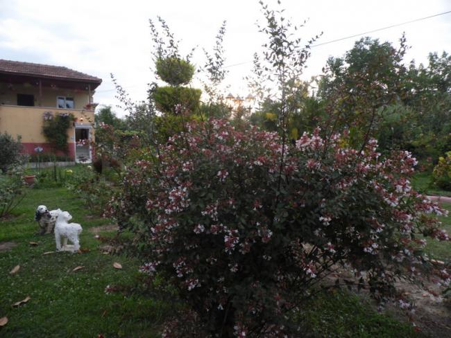 Name:  597-606.jpg
Views: 850
Size:  59.9 KB
