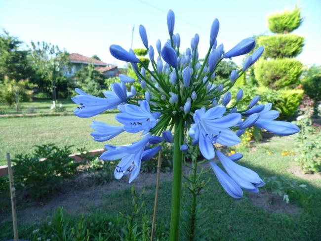 Name:  035-036.jpg
Views: 839
Size:  56.6 KB