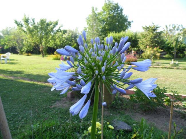 Name:  037-040.jpg
Views: 852
Size:  57.6 KB