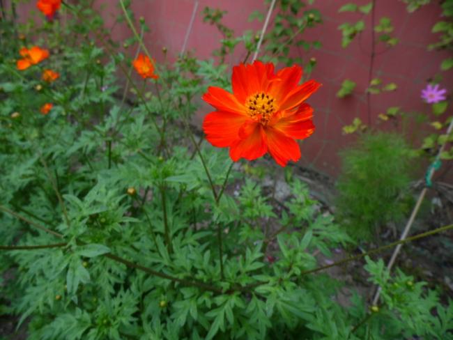 Name:  072-078.jpg
Views: 523
Size:  43.8 KB