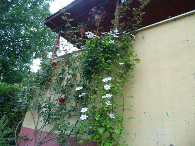 Name:  074-080.jpg
Views: 552
Size:  67.0 KB