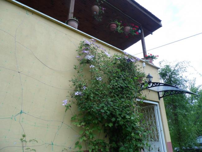 Name:  075-081.jpg
Views: 570
Size:  47.9 KB
