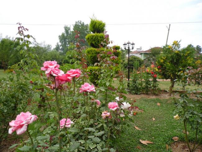 Name:  083-089.jpg
Views: 475
Size:  68.2 KB