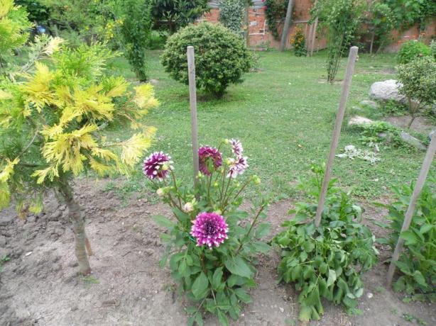 Name:  106-112.jpg
Views: 497
Size:  70.9 KB