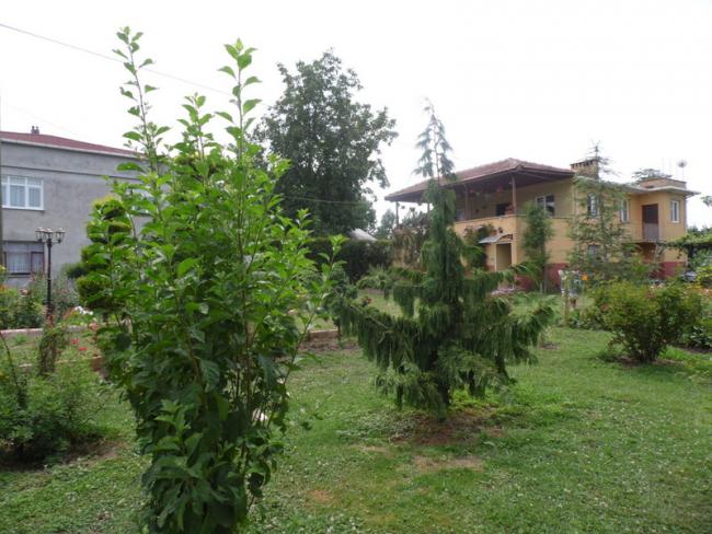 Name:  146-154.jpg
Views: 458
Size:  58.0 KB