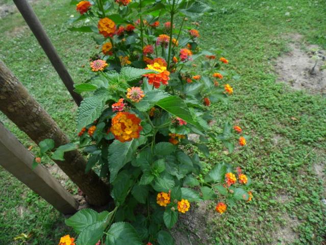 Name:  164-172.jpg
Views: 482
Size:  69.7 KB