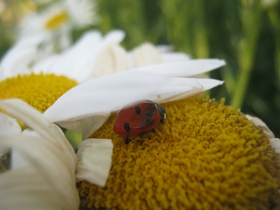 Name:  uur b1.jpg
Views: 955
Size:  68.8 KB
