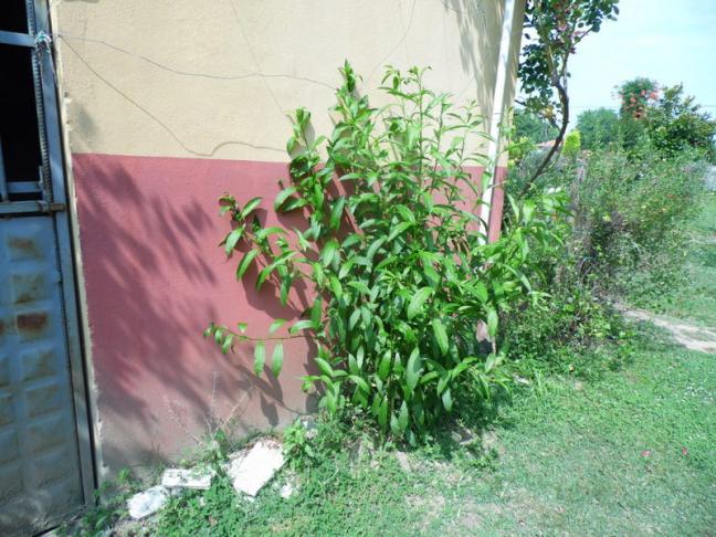 Name:  390-399.jpg
Views: 345
Size:  69.7 KB