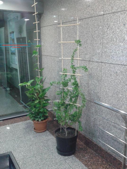 Name:  bg5.jpg
Views: 1279
Size:  66.9 KB
