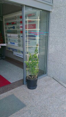 Name:  bg6.jpg
Views: 1224
Size:  24.9 KB