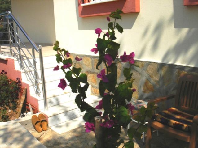 Name:  DSC03831.jpg
Views: 683
Size:  44.5 KB
