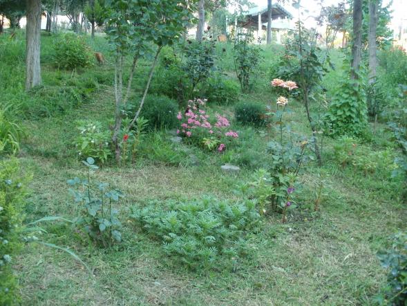 Name:  P1010372a.jpg
Views: 372
Size:  70.7 KB