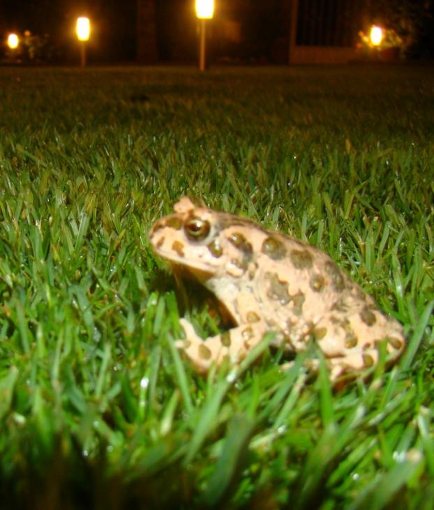 Name:  K1.jpg
Views: 775
Size:  63.2 KB