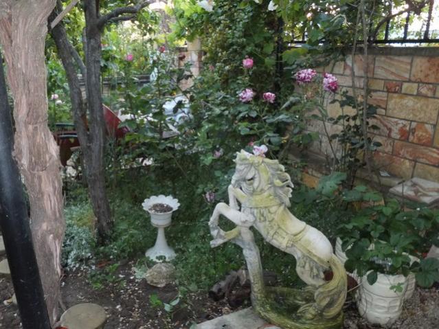 Name:  DSCF6333.jpg
Views: 337
Size:  64.2 KB
