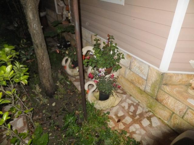 Name:  DSCF6556.jpg
Views: 335
Size:  46.9 KB