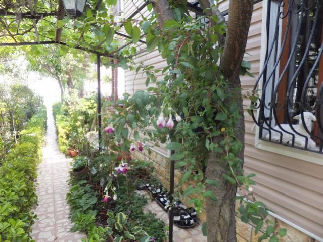 Name:  DSCF6371.jpg
Views: 315
Size:  68.9 KB