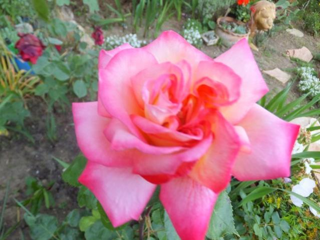 Name:  DSCF6470.jpg
Views: 299
Size:  44.9 KB