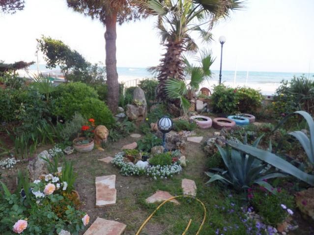 Name:  DSCF6483.jpg
Views: 261
Size:  56.0 KB