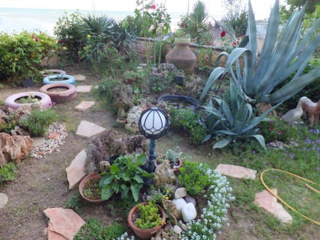 Name:  DSCF6487.jpg
Views: 265
Size:  67.2 KB