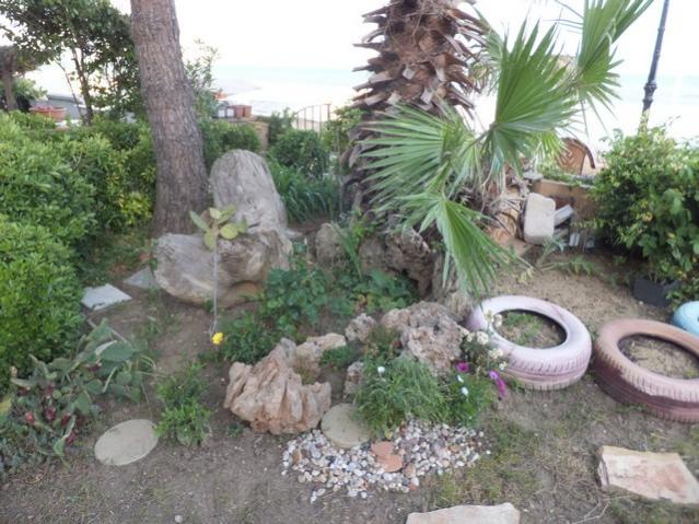 Name:  DSCF6488.jpg
Views: 260
Size:  63.8 KB